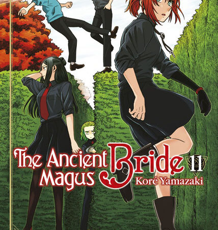 COM THE ANCIENT MAGUS BRIDE 11