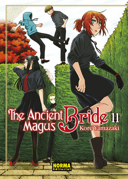 03C1518A-DA77-4BA4-9CC6-5FBDE5472BF4-20007206.jpg COM THE ANCIENT MAGUS BRIDE 11