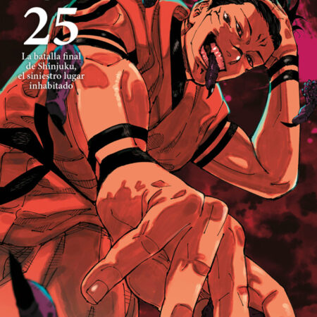 COM JUJUTSU KAISEN 25