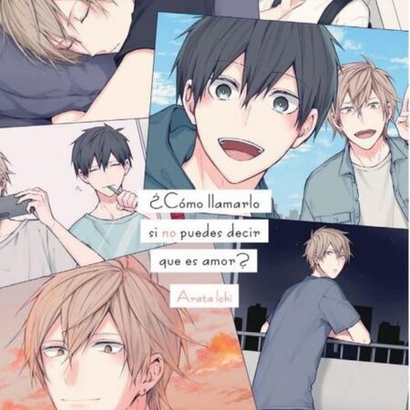 COM ¿COMO LLAMARLO SI NO PUEDES DECIR QUE ES AMOR?