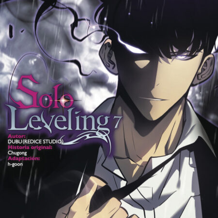 COM SOLO LEVELING 07