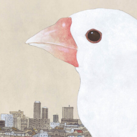 COM TOKYO DIA A DIA 01