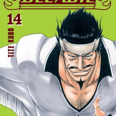 COM BLEACH MAXIMUM 14