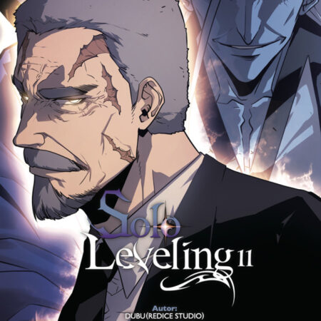 COM SOLO LEVELING 11