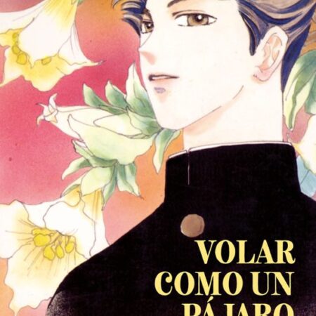 COM VOLAR COMO UN PAJARO