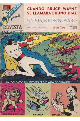 LIB CUANDO BRUCE WAYNE SE LLAMABA BRUNO DIAZ. UN VIAJE POR NOVARO